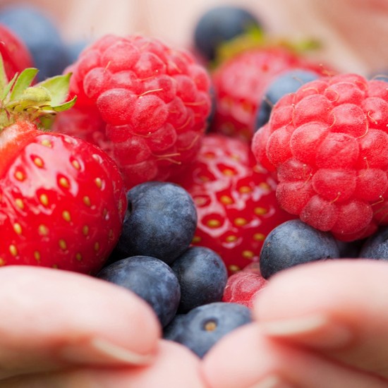 Hände mit Beeren; Foto: © dusk - stock.adobe.com