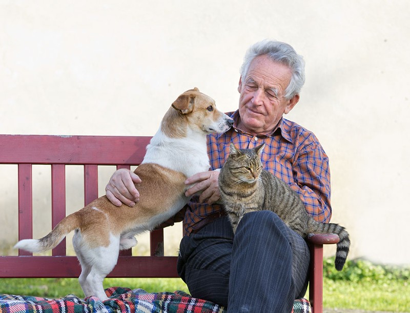 Foto: Mann mit Hund und Katze; Foto: Budimir Jevtic - Shutterstock.com