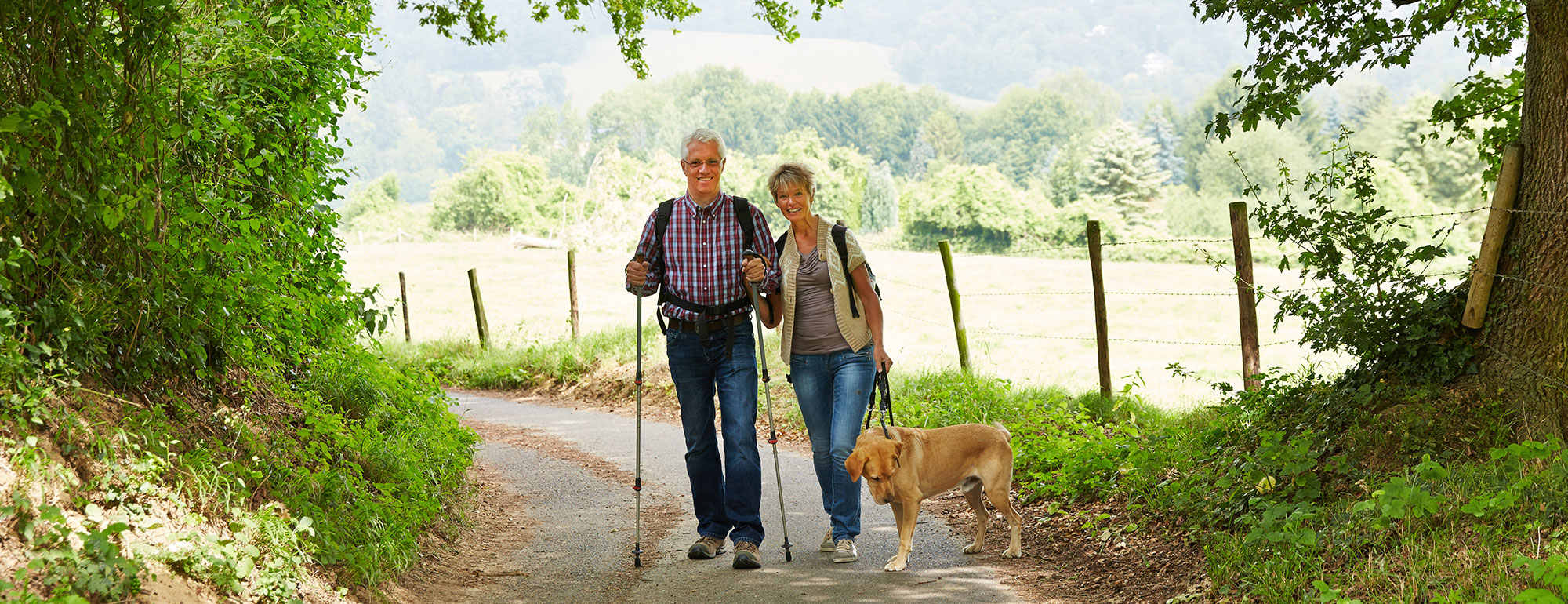 Pension-Weg-zur-Pension-Banner.jpg