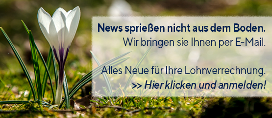 Banner Newsletter f&uuml;r Dienstgebende