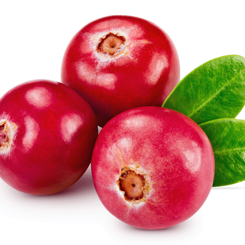 Mehr Informationen zum Thema: Dezember